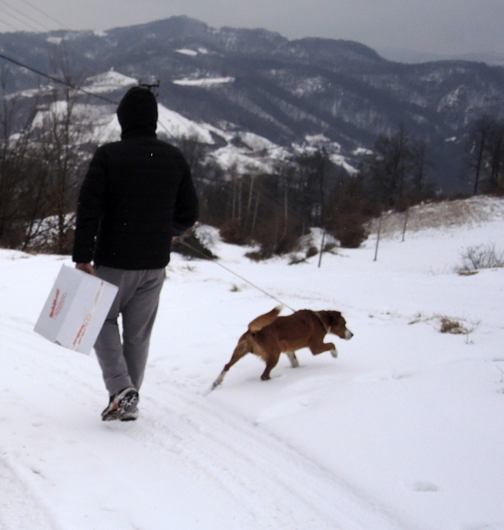 izdaosamdjoku Ledeno doba na Goliji