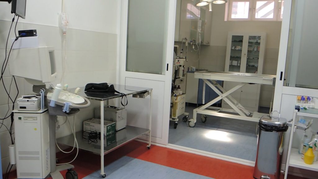 DSCN263500061215-28-24-1024x576 Savremena ordinacija za kućne ljubimce u Ivanjici