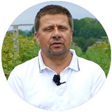 IL-bozo-jokovic Formirana radna grupa - Asocijacija malinara nezadovoljna