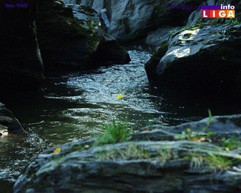 IL-moravica-2 Sačuvajmo i uredimo Moravicu