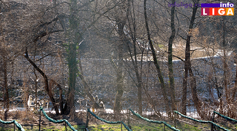 Il-mesto-gde-je-pronadjeno-telo Nađeno beživotno žensko telo u reci Moravici