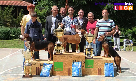 IL-izlozba-pasa-2017-BIS-ivanjica Uspešno održana XII Specijalka goniča u Ivanjici (VIDEO)