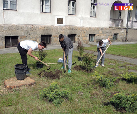 IL-sadnja-drveca-dvoriste-DZ1 Počelo uredjenje kruga Doma zdravlja - volonteri KZM najvredniji