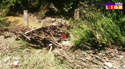 IL-polpava-u-guci1 Četvrta poplava u porodici Milišić