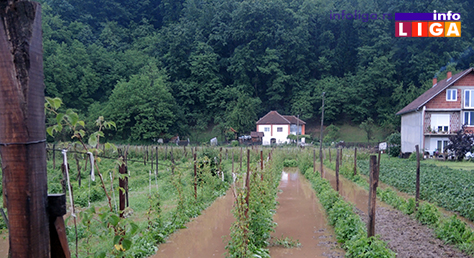 IL-poplave-radaljevo5 Olujno nevreme- poplaviljena dvorišta, objekti, maline