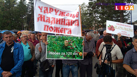 IL-protest-malinara-arilje-2017-2 Malinari traže od Vučića cenu od 225 dinara ili slede totalne blokade
