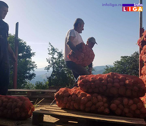 IL-krompir-humanitarka2 Dobri ljudi velikog srca donirali vagon krompira za gladne