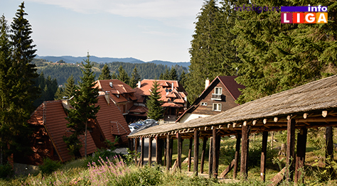 IL-vrucine-zlatar-vila-jelena VRELINA - Šta je najopasnije i kako da se zaštitite