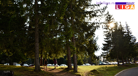 IL-vrucine-zlatar VRELINA - Šta je najopasnije i kako da se zaštitite
