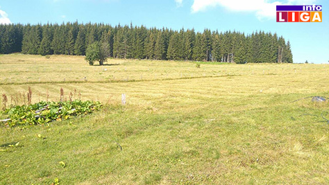 IL-golija2 Golija postaje najzanimljivija destinacija u Srbiji