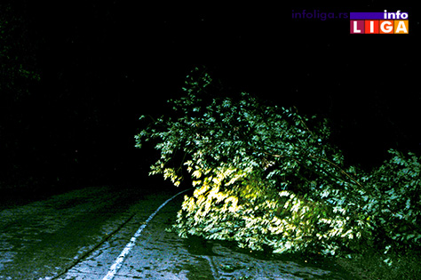 IL-nevreme-klepani-3 Olujni vetar čupao drveće od Prilika do Klepana