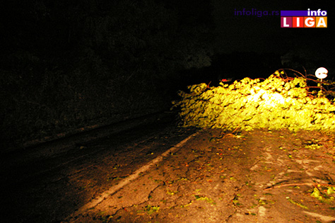 IL-nevreme-klepani-4 Olujni vetar čupao drveće od Prilika do Klepana