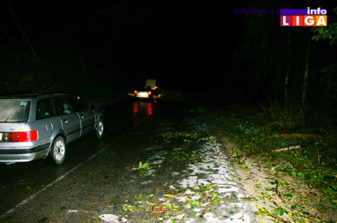 IL-nevreme-klepani-5 Olujni vetar čupao drveće od Prilika do Klepana