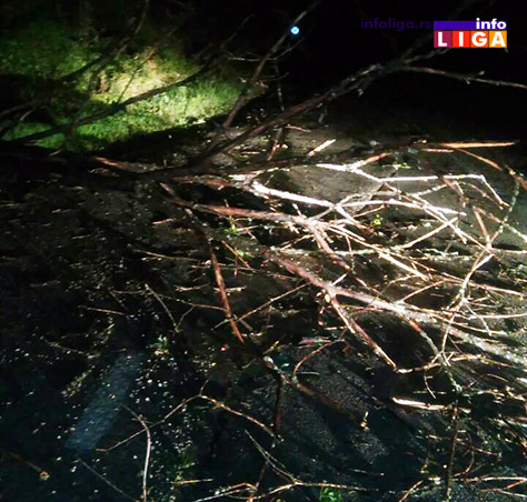 IL-nevreme-klepani-7 Olujni vetar čupao drveće od Prilika do Klepana