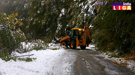 IL-sneg-golija-71017-3 Na Goliji teško prohodno, velike štete u voćnjacima (VIDEO)