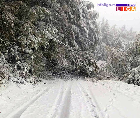 IL-sneg-ivanjica-preko-brdo-neprohodno2 Pao sneg - Neprohodan put Ivanjica - Preko Brdo