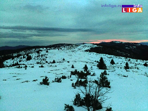 IL-odstreljen-vuk-na-goliji2 Odstreljen još jedan vuk na Čemernu