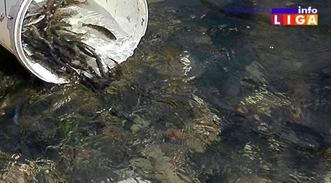 IL-poribljavanje-3 Poribljeno područje Parka prirode „Golija“