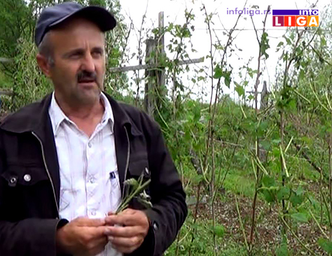 IL-Radenko-Maric-Butkovo Sud potvrdio: Država odgovorna za štete od grada pre tri godine