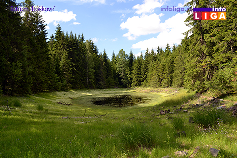 IL-malo-jezero_mb Košaninova jezera na Goliji – prirodni fenomen