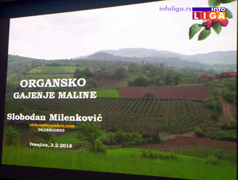 IL-organska-proizvodnja-malina-2 Organska prizvodnja voća može biti budućnost ivanjičke poljoprivrede