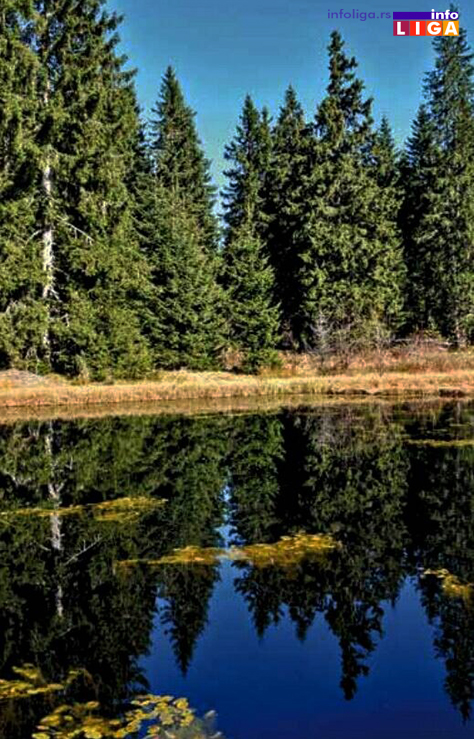 IL-dajicko-jezero2-arhiv-TOIvanjica Prirodnom dragulju – Dajićkom jezeru preti nestajanje