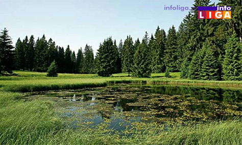 IL-dajicko-jezero3-arhiv-TOIvanjica Prirodnom dragulju – Dajićkom jezeru preti nestajanje