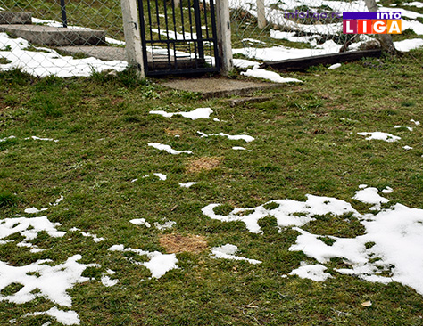 IL-trovanje-pasa-ostaci-kroazana STRAVIČNO - U naselju Bele njive leševi otrovanih pasa