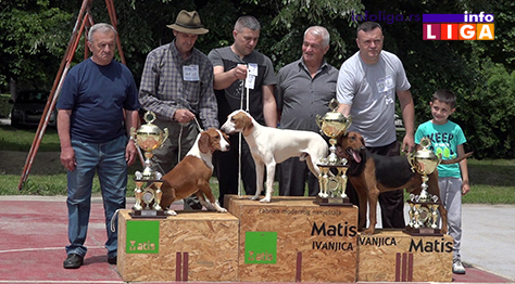 IL-XIII-izlozba-ivanjica-junior-BIS Laki II pobednik izložbe goniča u Ivanjici (VIDEO)