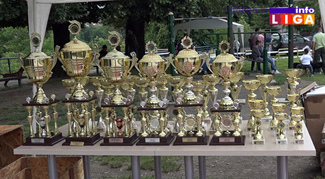 IL-XIII-izlozba-ivanjica-pehari Laki II pobednik izložbe goniča u Ivanjici (VIDEO)