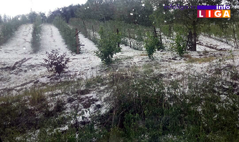 IL-grad-radobudja2 Opet grad - Dva sela u Arilju uništio