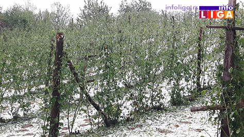 IL-grad-radobudja3 Opet grad - Dva sela u Arilju uništio