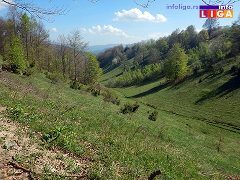 IL-osonica-rudnik-3 U Osonici u srednjem veku vađena ruda srebra i olova