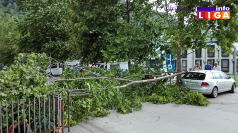 IL-palo-drvo-dom-zdravlja OPREZ - Jak vetar kida granje, nosi crepove