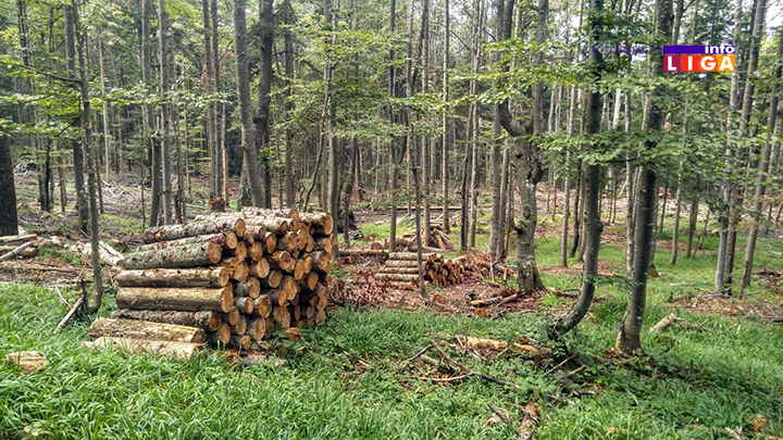 IL-osonicani-suma5 Alaramantno! U Srbiji za pet godina 48,2% manje šuma