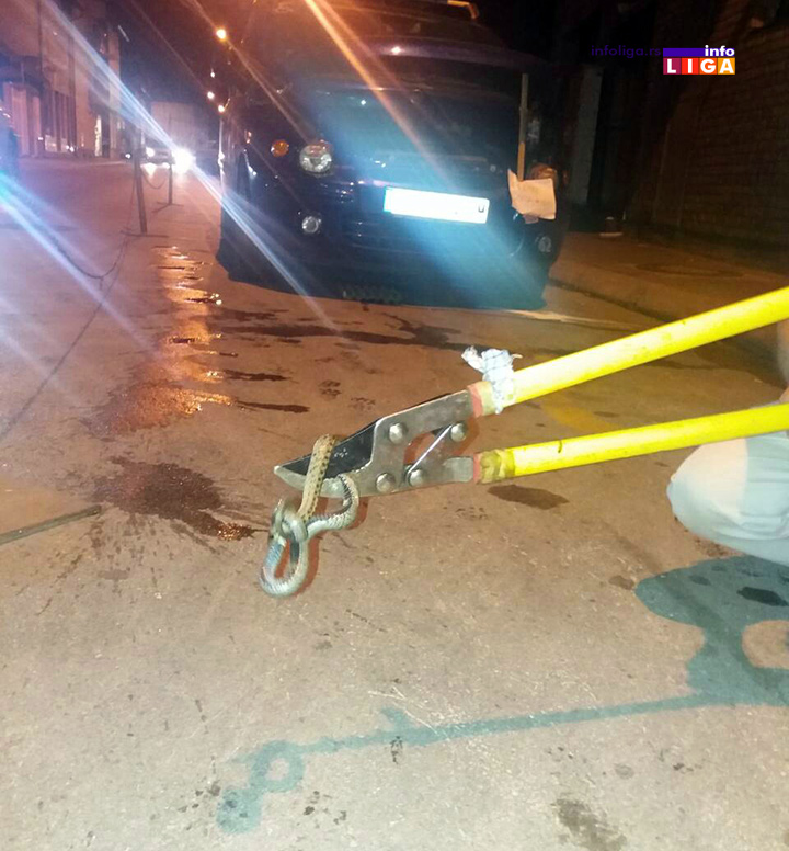 IL-zija-u-autu2 Vozio sestru i otrovnicu zajedno u autu