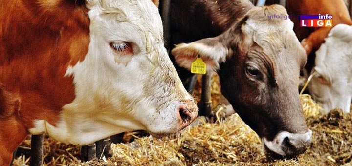 IL-kontrola-drzanja-zivotinja Počela kontrola uslova za držanje životinja