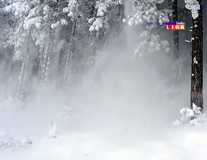 IL-sneg-dolazi-300x232 UPOZORENJE vozačima da ne kreću put Golije zbog jake snežne mećave