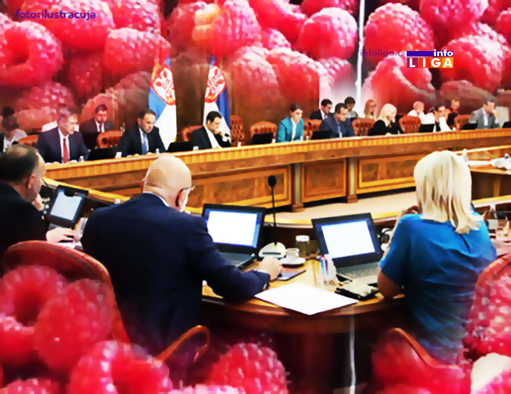 IL-radna-grupa-malina-ostavke Članovi Radne grupe za malinu podnose ostavke