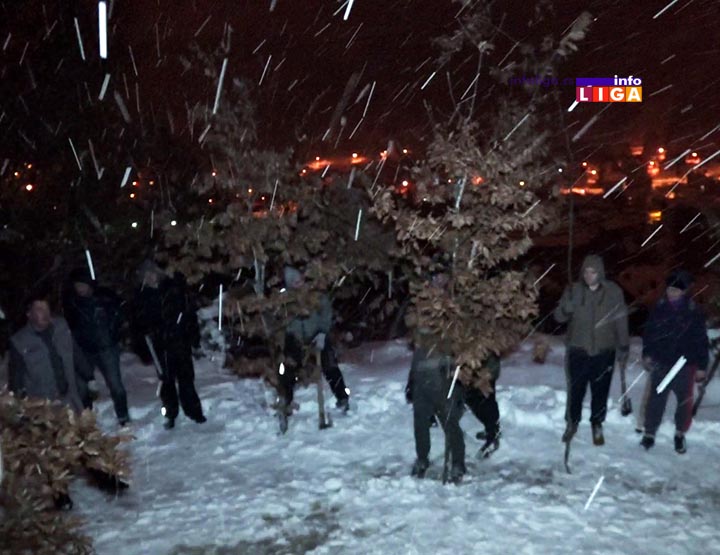 IL-badnjaci-seca-crnjevo-2019-2 Ivanjičani tradicionalno, iz badnjaka u kafanu (VIDEO)