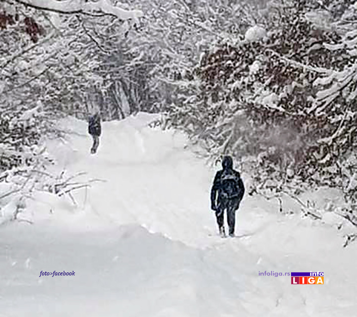IL-kovilje-sneg Ivanjičane ponovo zatrpao sneg, ali se mečke bez problema šetaju putevima