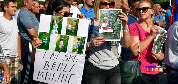 IL-mi-smo-brali-maline Šta će biti sa malinom?