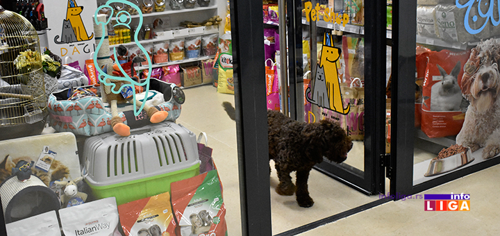IL-petshopDAGI032-0 Petšop sa lokalnim šarmom, a svetskom ponudom u našem gradu!
