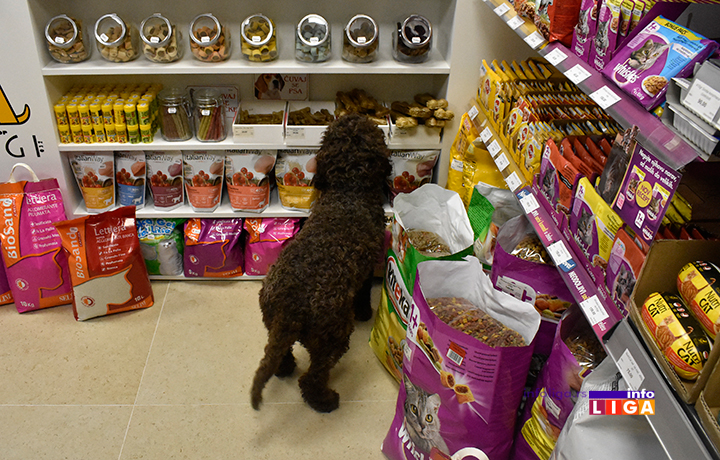 IL-petshopDAGI032-10 Petšop sa lokalnim šarmom, a svetskom ponudom u našem gradu!