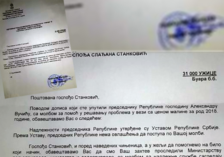 IL-pismo-malinarima-sladjani-zoomue Šta će biti sa malinom?