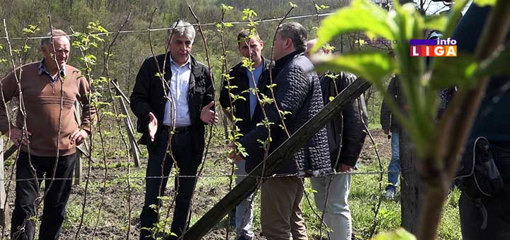 IL-maline-obilazak-vlada-srbije Radna grupa za suzbijanje bolesti malina obišla malinjake u ivanjičkom kraju (VIDEO)