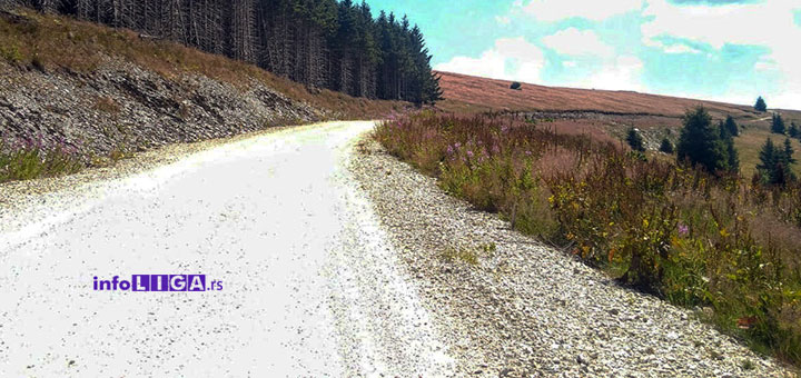 IL-put-gol-reka-odvracenica-tender Raspisan tender za izgradnju puta Golijska Reka – Preko Brdo - Odvraćenica