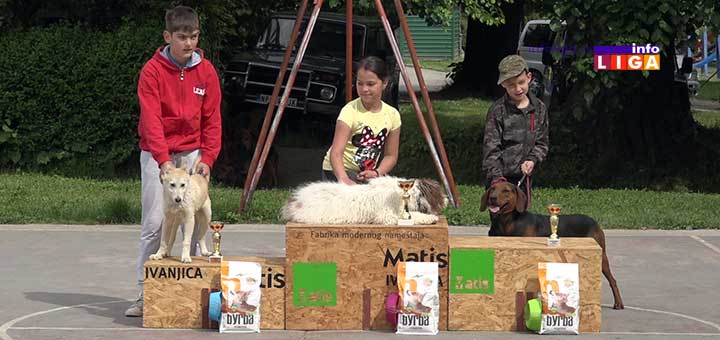 IL-14-specijalka-gonica-pobednici-revija Proglašeni najlepši psi 14.Specijalizovane izložbe goniča u Ivanjici (VIDEO)
