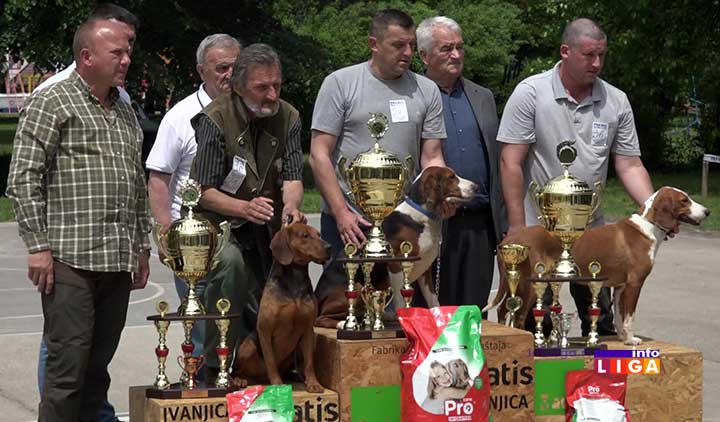 IL-14-specijalka-gonica-pobednici2 Proglašeni najlepši psi 14.Specijalizovane izložbe goniča u Ivanjici (VIDEO)