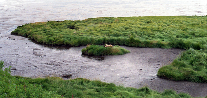 IL-izlozba-fotografija-mirijana-jankovic-dk-ivanjica Izložba fotografija „(Auto)portret” ivanjičanke Marijane Janković